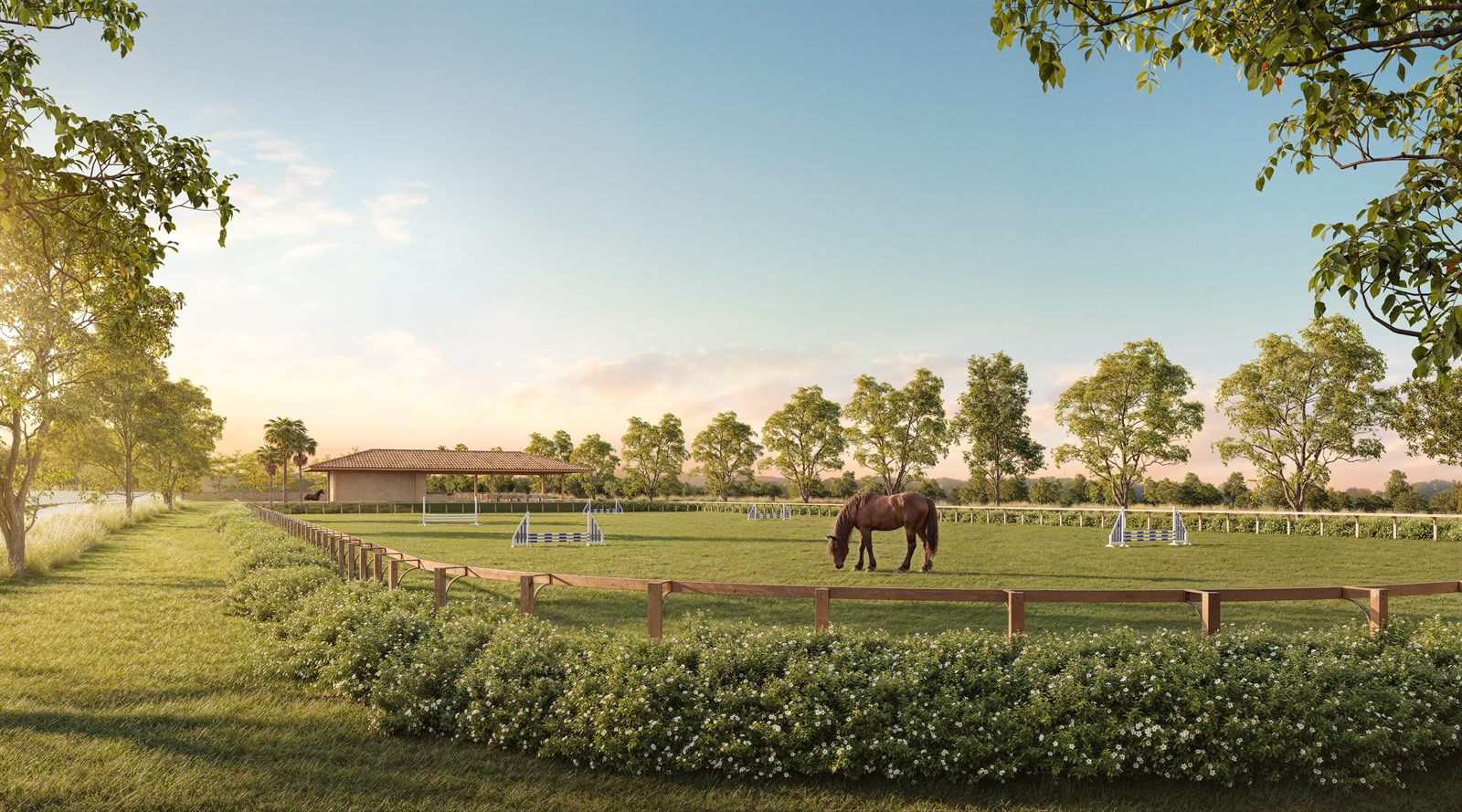 Cavalo no piquete da hípica, com as baias ao fundo